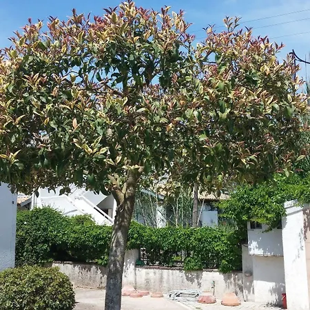 Corfu Anastasia דירה *