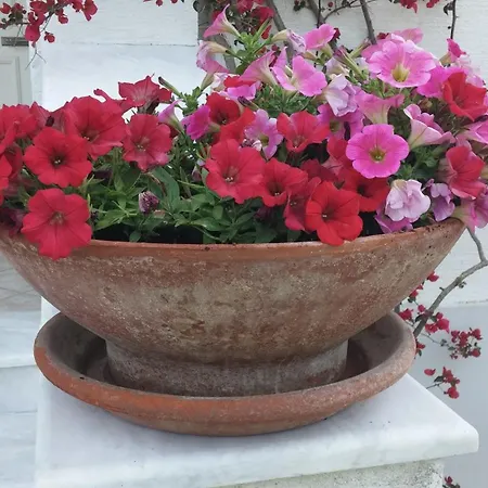 Corfu Anastasia Lejlighed *