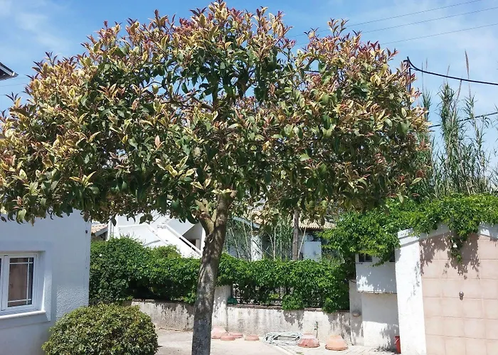 Corfu Anastasia Daire *